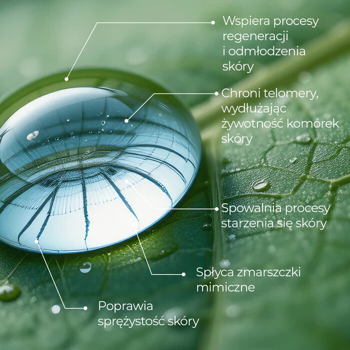 youth essence właściwości serum