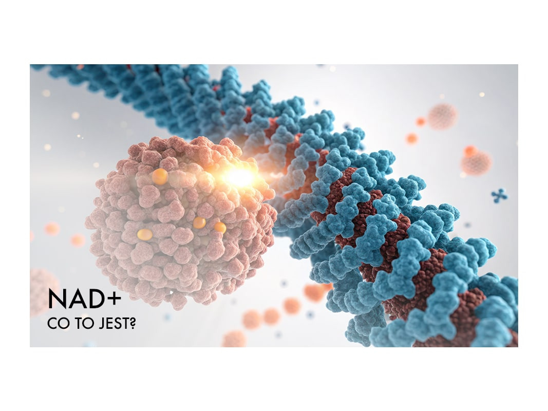 NAD+ - co to jest? Jak suplementować przez skórę dla efektu anti-aging?